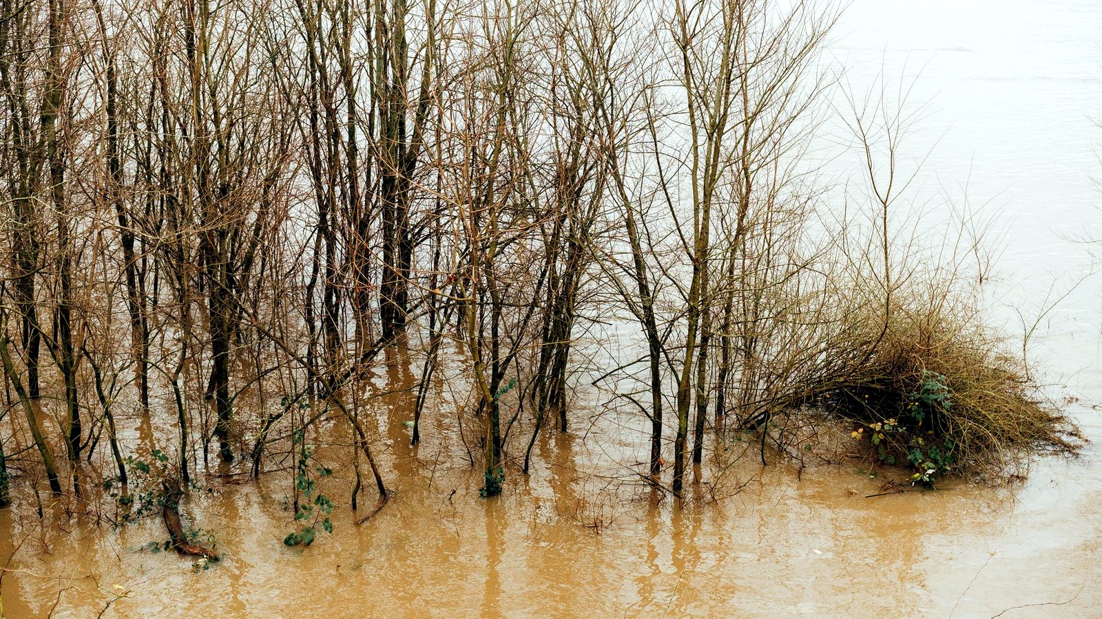Inondations record au désert de Taklamakan après des pluies extrêmes