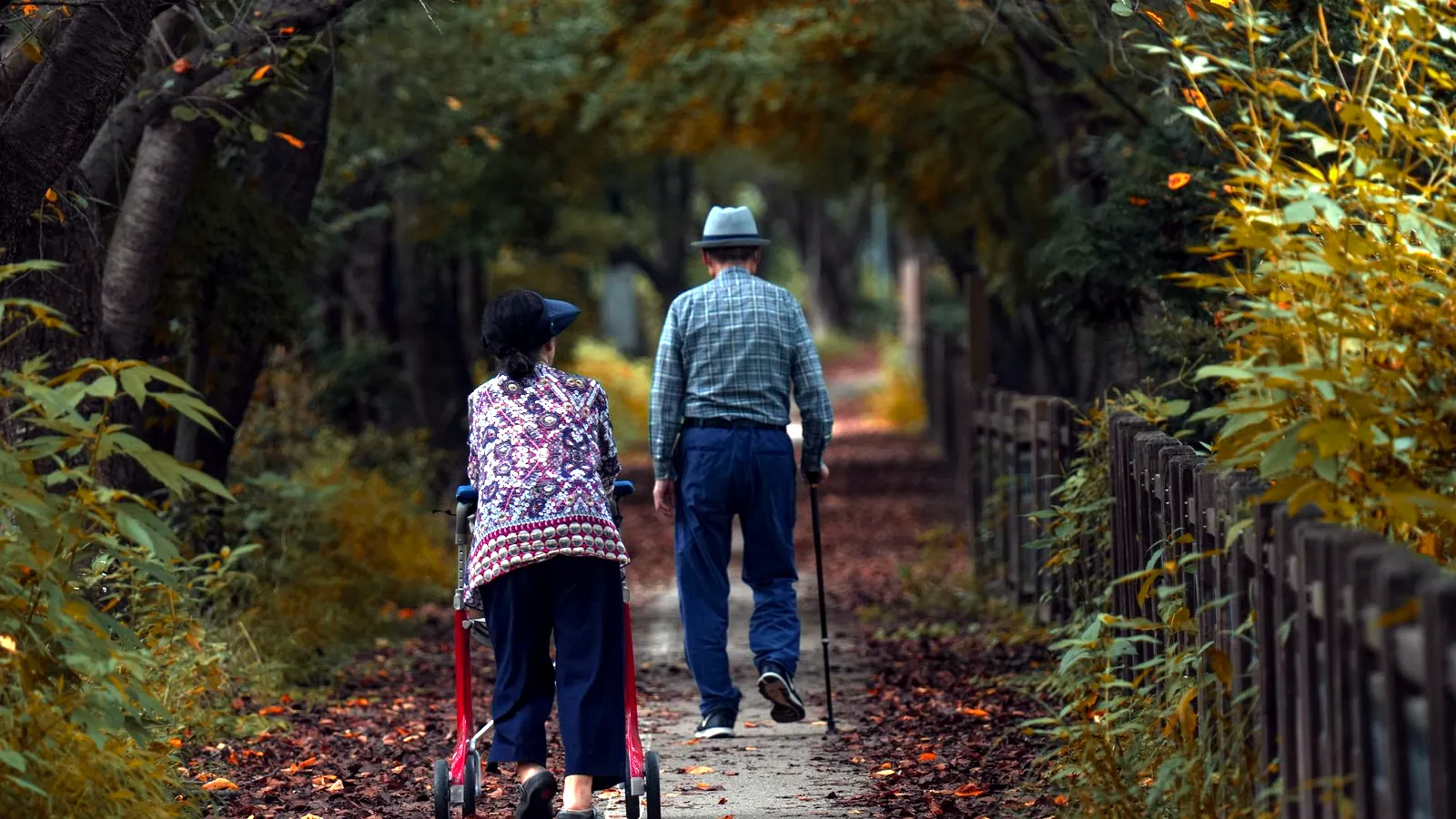 Les clubs de retraités prospèrent en Chine, avec 320 millions de seniors