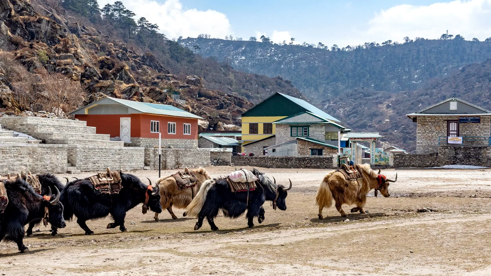 Hongyuan : le comté des yaks et de la Longue Marche