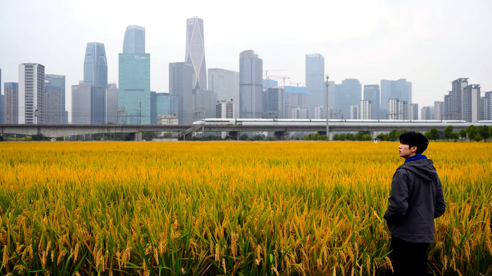 Stabilité du marché du travail urbain en Chine au premier semestre 2026