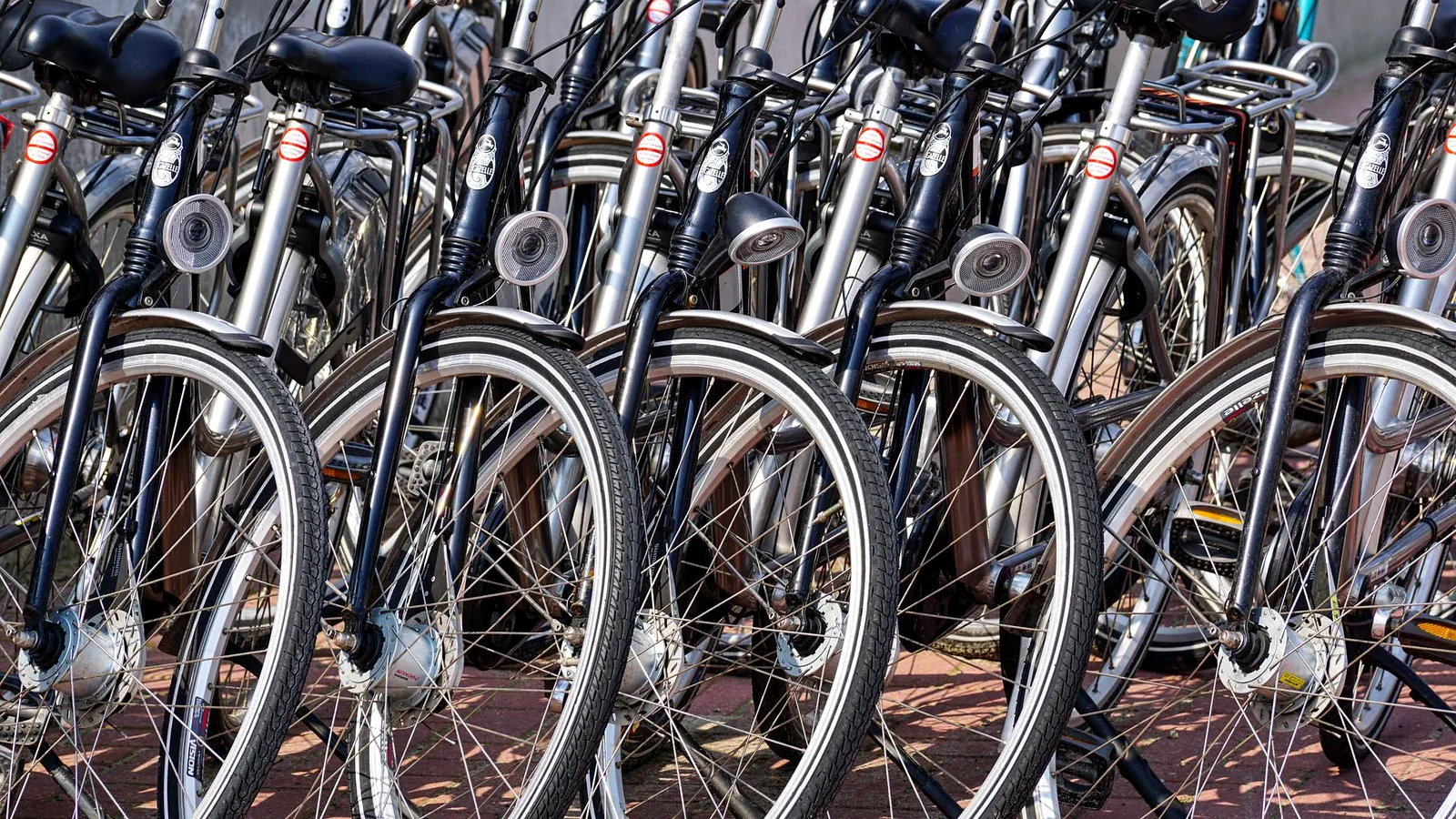 Fujian affiche une croissance des exportations de vélos de 47,7 % au premier semestre 2026
