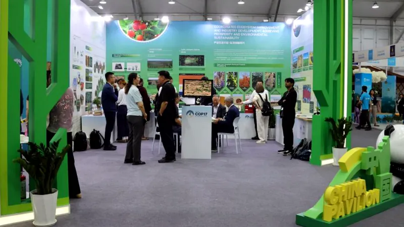 La Chine affiche des avancées concrètes dans la lutte contre la désertification à COP17