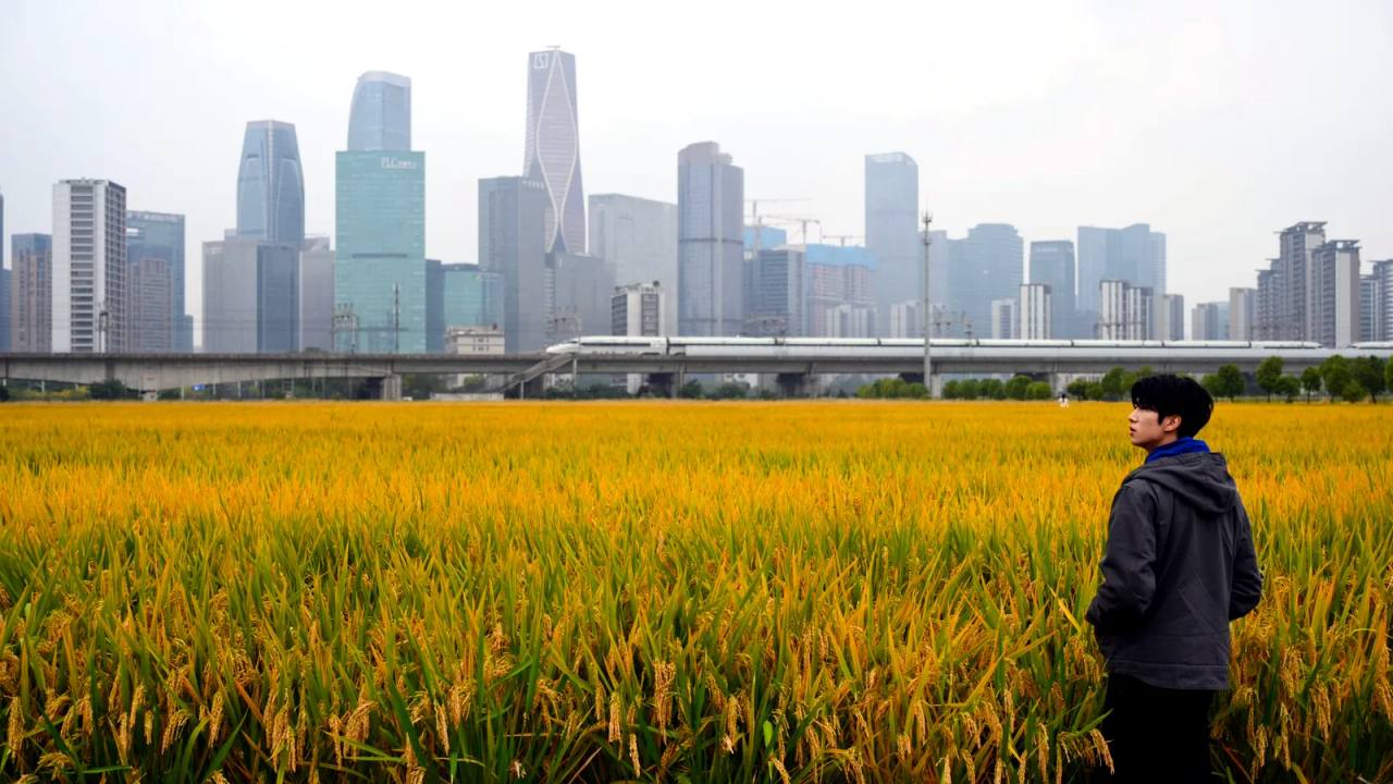 Stabilité du marché du travail urbain en Chine au premier semestre 2026